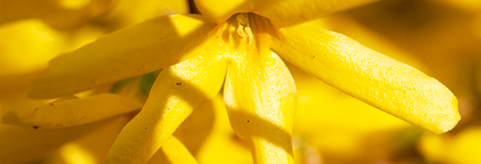 ip攻击器网页版